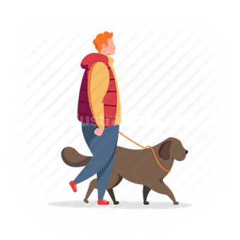 man, walk, dog, pet